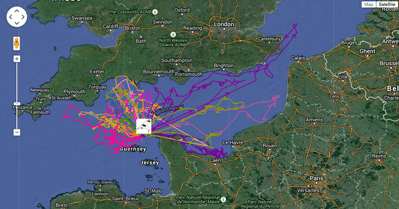 Tracking the Location of Animals With GPS