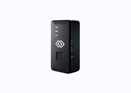 Spytrack Nano Portable GPS Tracker